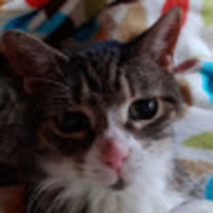 Meet your Posher, Darlene